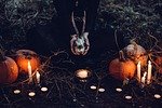 candles-1868640_150-1868640 candles, pumpkins, witch, skull, candlelight, wicca, ceremony, occult, creepy, dark, eerie, halloween, hands, horror, person, scary, magic, witchcraft, happy halloween, witch, halloween, halloween, halloween, halloween, halloween, horror, horror